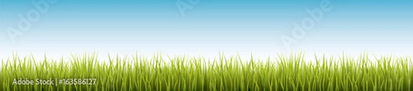 Fototapeta Fresh realistic green grass - vector illustration