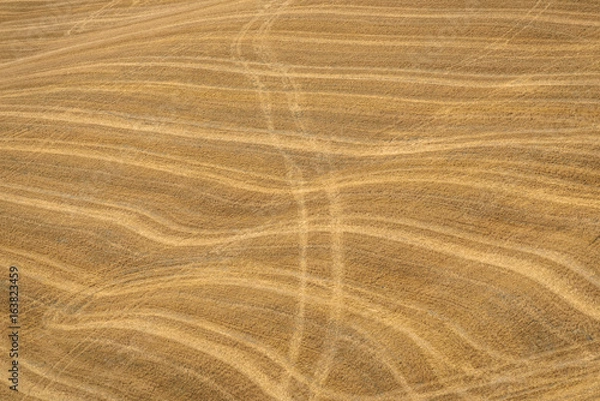 Fototapeta Summer landscape in Tuscany.