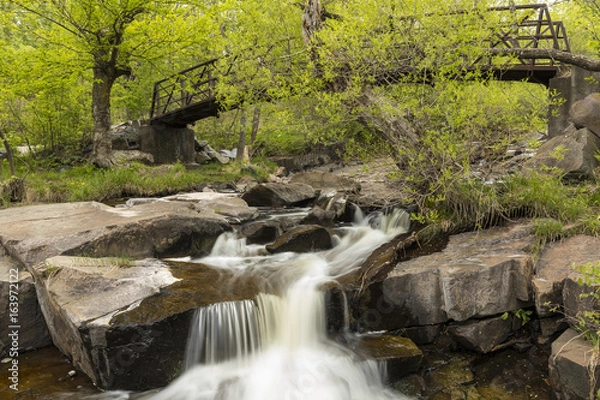 Fototapeta Miller Creek Waterfall & Footbridge