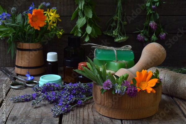 Fototapeta Composition of fresh herbs and flower: sage, mint, lavender, calendula, clover, yarrow. Natural alternative medicine or cosmetology.