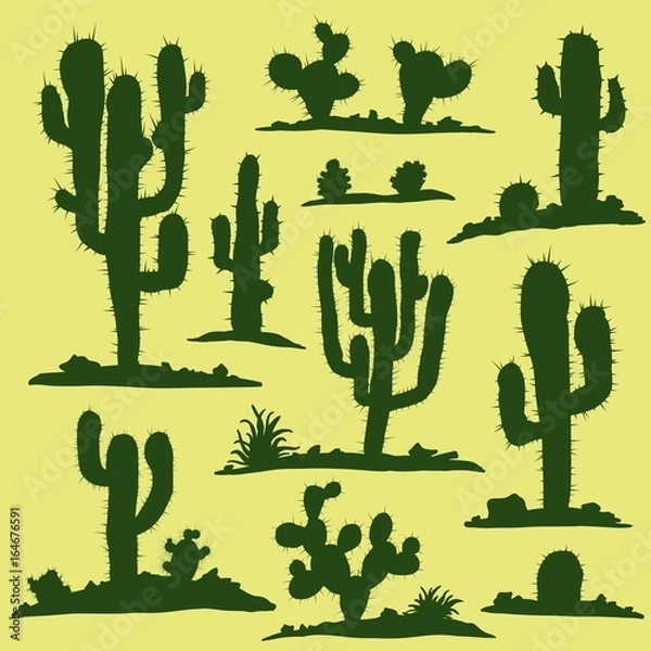 Obraz Set of different types of green cacti plants. Vector illustration.