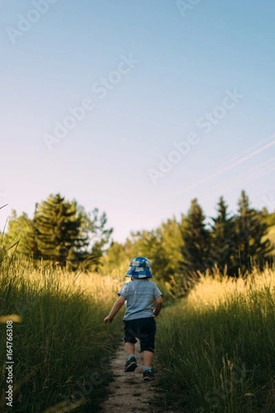 Fototapeta Toddler running through a field in summer