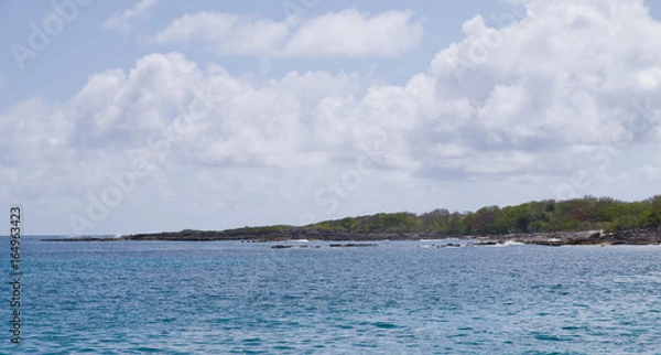 Fototapeta Côte de Guadeloupe