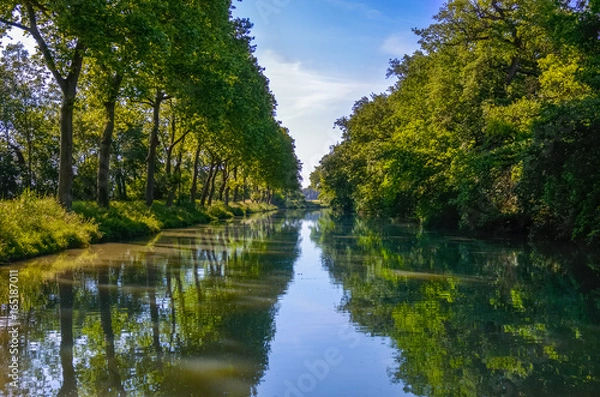 Fototapeta Beautiful Canal du Midi, sycamore trees reflection in water, Southern France
