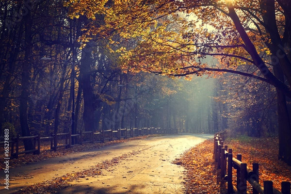 Fototapeta Autumn park  leaf background