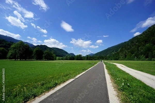 Fototapeta Traumhafter Radweg in idyllischer Landschaft