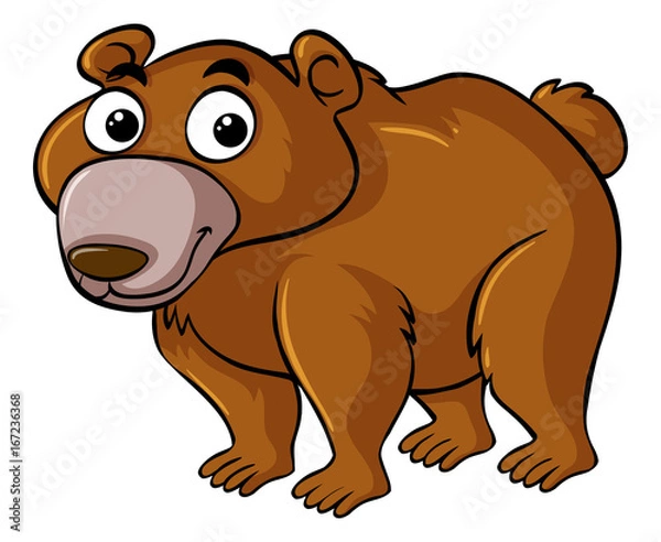 Fototapeta Brown bear with happy face