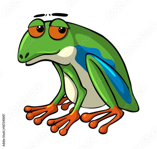 Fototapeta Green frog with sad eyes