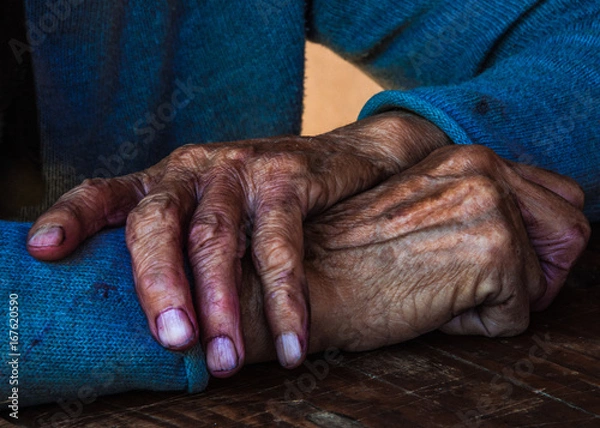 Fototapeta Hands of an old woman