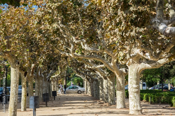 Fototapeta Citadel Park in Barcelona