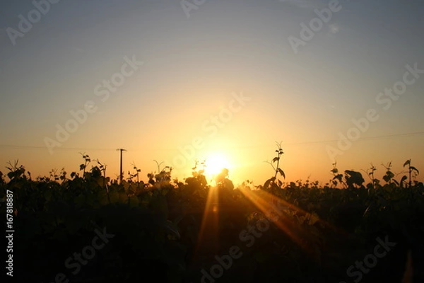 Fototapeta coucher de soleil