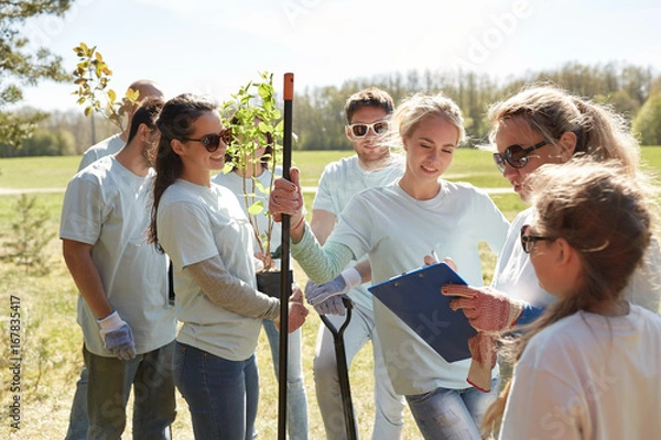 Fototapeta group of volunteers with tree seedlings in park