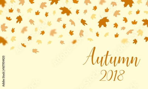 Fototapeta Autumn falling leaves pattern with text Autumn 2018 background. Vector autumnal foliage fall of maple,for autumn design