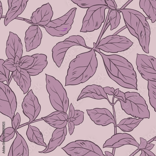 Fototapeta basil vector pattern