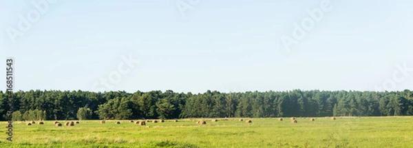 Fototapeta Landscape of packed straw bales on farmland in poland