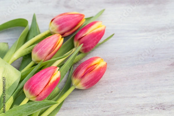 Fototapeta Colorful Spring Tulips on White Wood Table