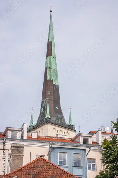 Fototapeta Tallin Panoramic View, Estonia