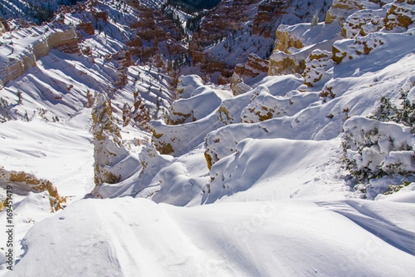 Fototapeta Deep Snows of Winter at Cedar Breaks