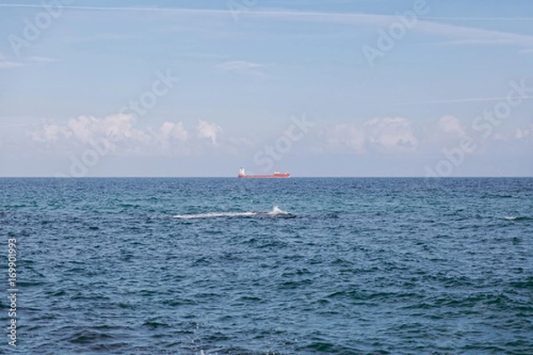 Fototapeta Beautiful view of the sea with waves on a sunny day