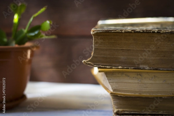 Fototapeta Amazing image of a stack of vintage books and a cactus in a pot