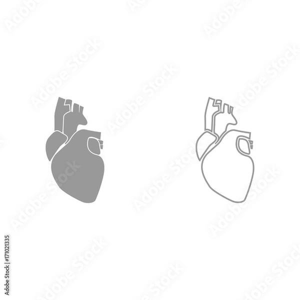 Fototapeta Human heart it is icon .