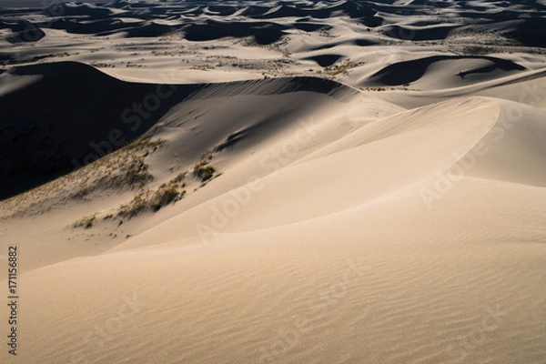 Fototapeta gobi mongolia