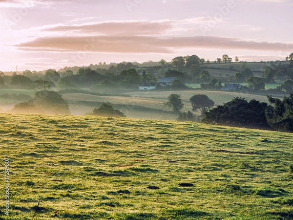 Obraz Early Autumn countryside morning,Northern Ireland