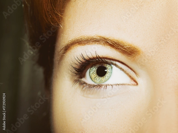 Fototapeta A beautiful insightful look woman's eye.