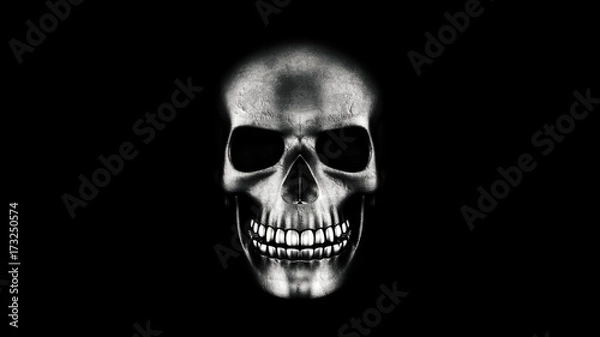 Fototapeta Human Skull On Black Background 3D Rendering