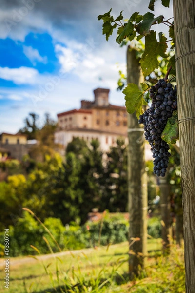 Fototapeta Barolo town view from Barolo wine vineyards