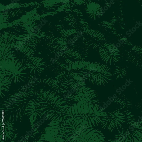 Fototapeta Vector background from green fir tree branch. Found for xmas card.