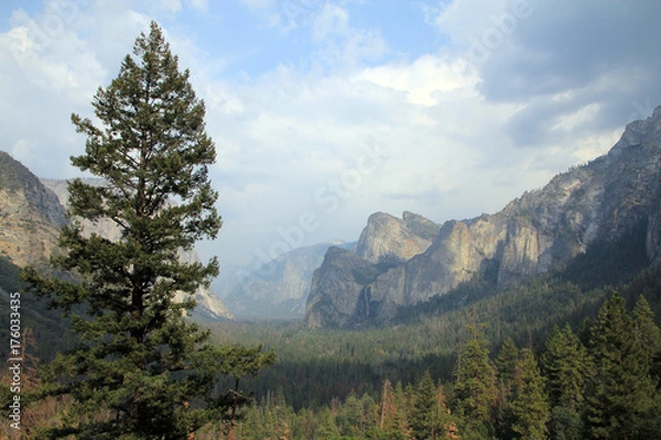 Obraz Yosemite national Park in USA