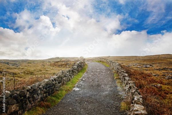 Obraz Landscape with road and fields