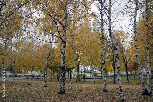 Obraz Rainy autumn day in Pereslavl-Zalesskiy