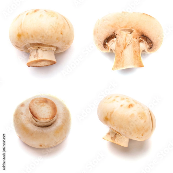 Obraz Set of white fresh mushroom in white isolated background