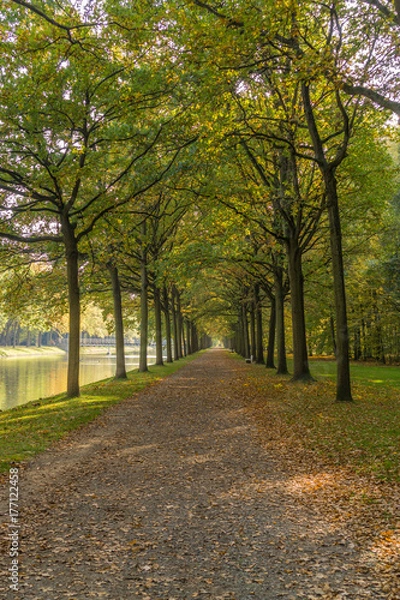 Fototapeta Autumnal impressions in a park, the Karlsaue in Kassel, Germany