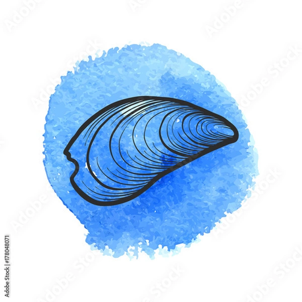 Fototapeta hand drawn vector seashell