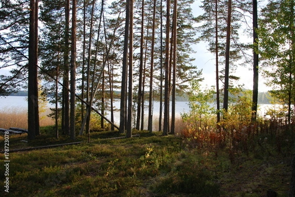 Fototapeta Schwedensee