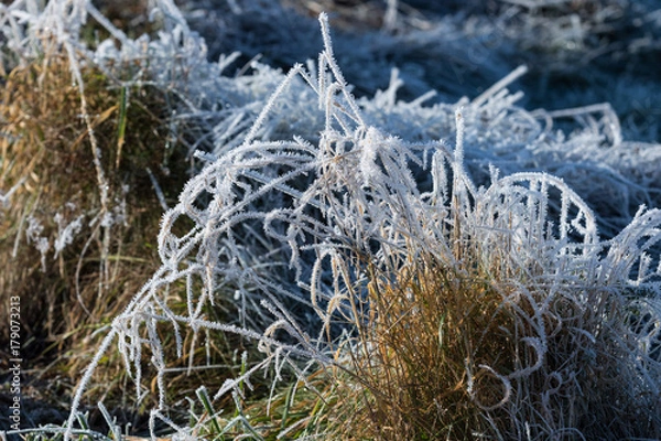 Fototapeta Symbolbild Bodenfrost