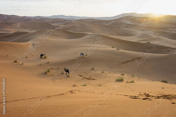 Obraz Sunrise in sand desert