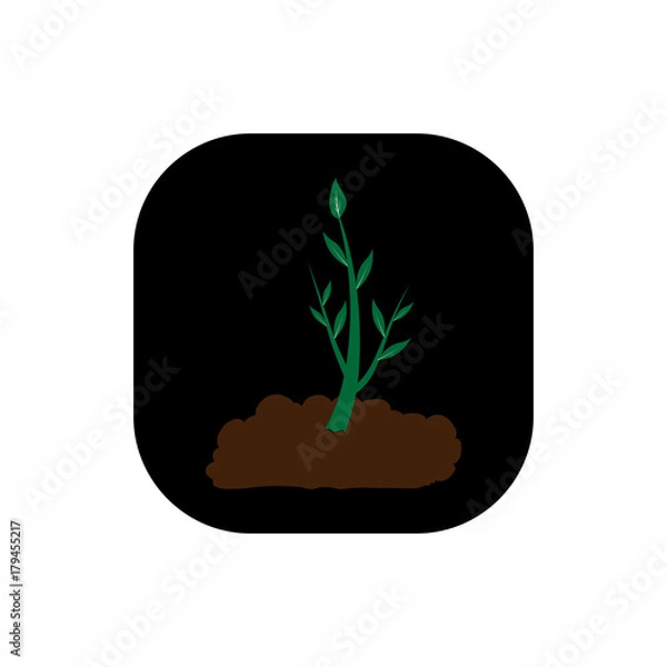 Fototapeta Plant sprout square icon vector