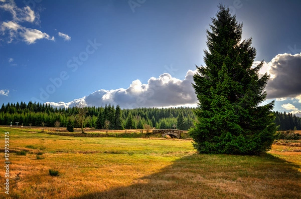 Fototapeta Blackwater Valley in Autumn