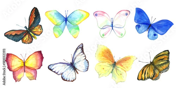 Obraz Collection watercolor of flying butterflies.