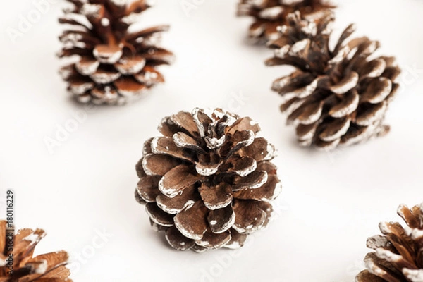 Fototapeta Macro shot of fir tree cone on a white background