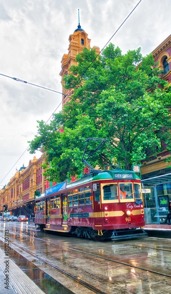 Fototapeta MELBOURNE - NOVEMBER 2015: City tram along the streets on a rainy day. Trams are a tourist attraction among tourists