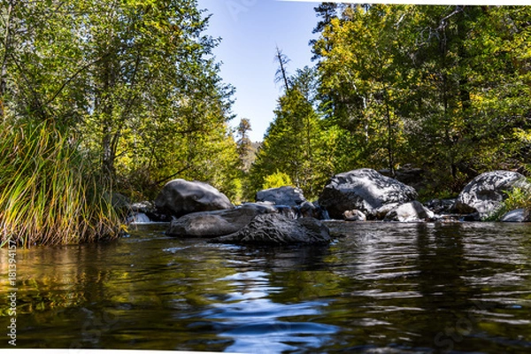 Fototapeta Flowing River in Sedona Arizona: Still Waters