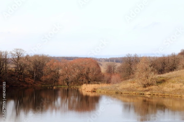 Fototapeta Late autumn on the pond.