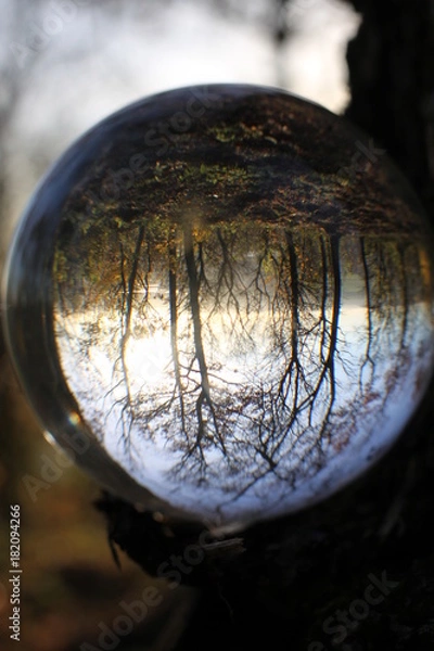 Fototapeta waldkugel