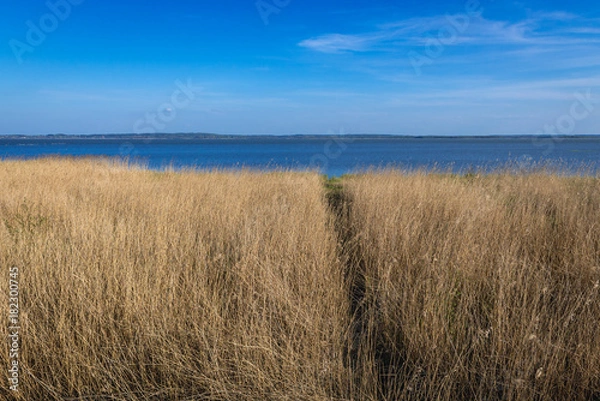 Fototapeta View on Gardno Lake near Baltic Sea coast in Slowinski National Park, Poland