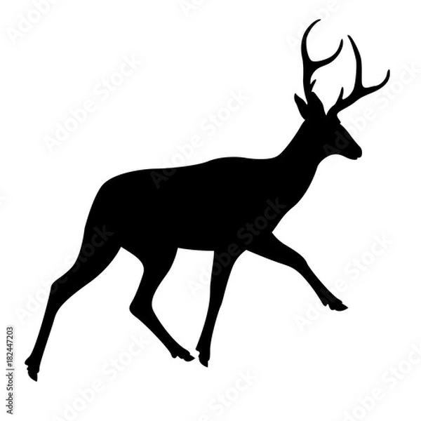 Fototapeta deer vector illustration black silhouette profile